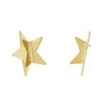 Brinco-de-estrela