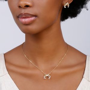 Conjunto Laço