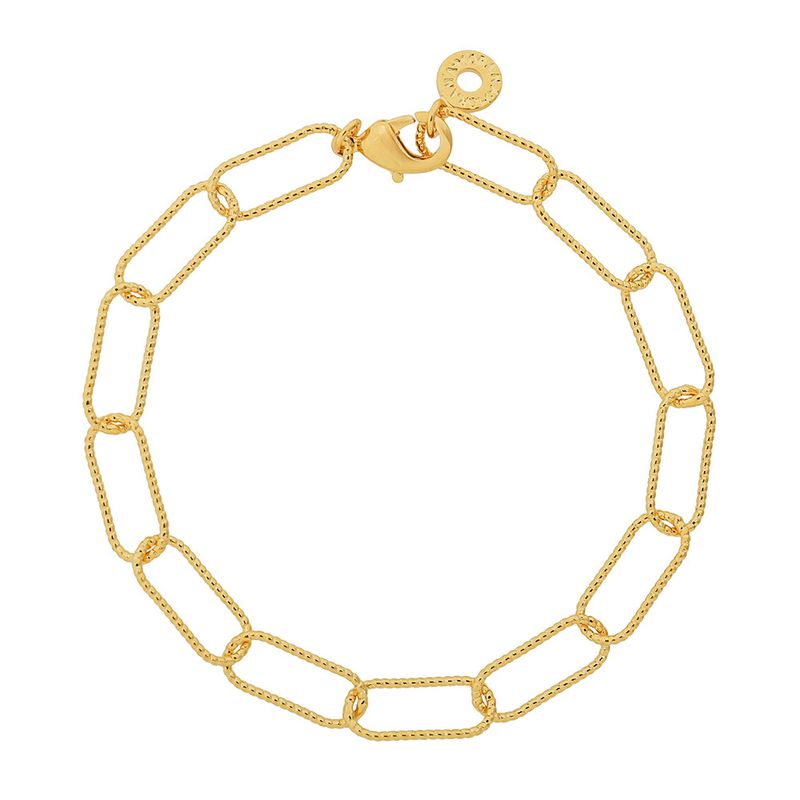 Pulseira-de-elos