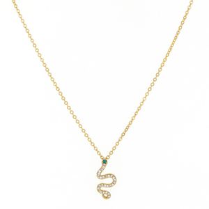 Colar com Pingente de Serpente