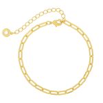 Pulseira-de-elos