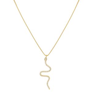 Colar com Pingente de Serpente