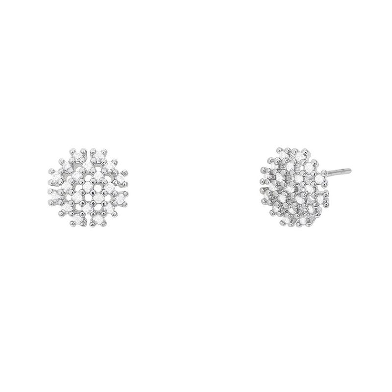 2228967972_1