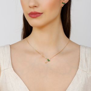 Conjunto Delicado