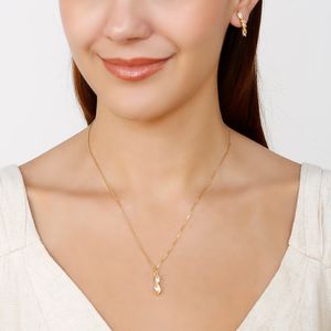 Conjunto Delicado