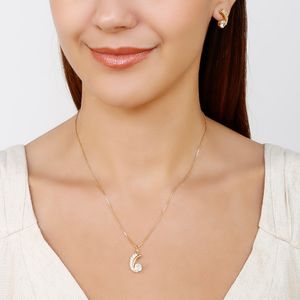 Conjunto Trabalhado